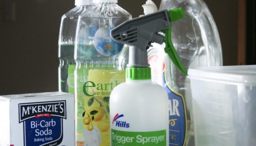 green cleaning kit